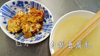 新豆腐乳 | 看看自然发酵也能做出三种不一样的豆腐乳