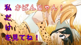 サーバル「かばんちゃん、私を見て！ガン見して！」【けものフレンズ】