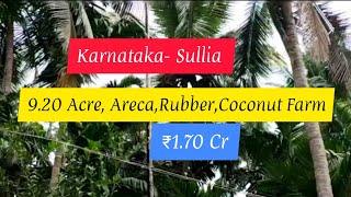 9.20 Acre Areca Rubber Coconut Farm Agricultural Land  For Sale | Sullia | Karnataka (1.70 Cr)