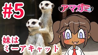 伝説のギャルゲーVS煮卵！？【アマガミ実況#5】