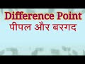 pipal aur bargad में अन्तर difference between pipal and bargad