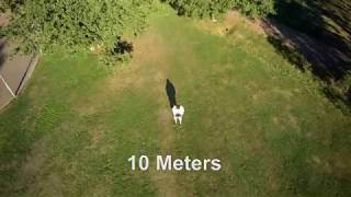 Drone View at Altitude Demonstration