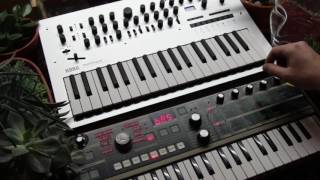 Minilogue/MicroKorg Dueling Synthesis