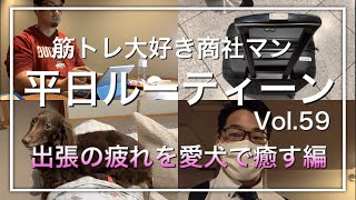 【ルーティーンVol.59】元気お裾分け動画||筋トレ狂商社マンの日常|愛犬が可愛い|実家帰省|京大アメフト元主将|Everyday Workout|IBM Big Blue|アメフト