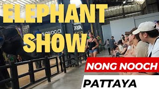 4K || THE ELEPHANTS SHOW || Nong Nooch Garden , Pattaya || ദി എലിഫൻ്റ് ഷോ നോങ് നൂച്ച് പട്ടായ -2024