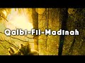 Qalbi Fil Madinah - Vocals only - Without Music - Beautiful sceneries | Lyrics + Translation (easy)