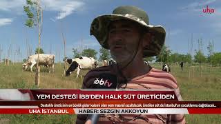 YEM DESTEĞİ İBB’DEN HALK SÜT ÜRETİCİDEN