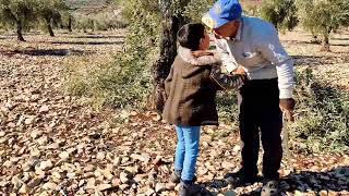 جولة بقرية حج خليل المطلة على ناحية راجو وتصوير بعض قرى اخرى 😍🌲اروع المناظر الطبيعية ⛰️😮