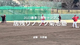 居残り特守に菊池涼介！矢野雅哉に熱血指導！！菊池の遊撃の守備必見です！！【2023.2.3春季日南キャンプ3日目】#広島カープ# 2023春季日南キャンプ#天福球場#菊池涼介#矢野雅哉#居残りノック