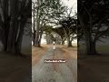 “Cypress Tree Tunnel” in California. This enchanting place is only one hour from San Francisco.