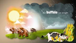 Be the Buffalo | E-Book Preview