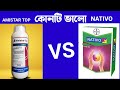 Amister top vs Nativo -এর মধ্যে কোনটি Best