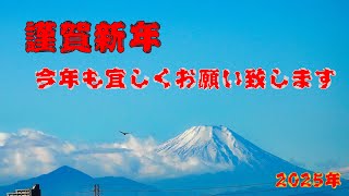 新春の探鳥 東京のおじチャンネル