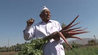 96-year old carrot farmer from Junagadh, Gujarat to get Padma award