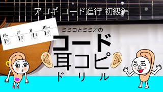 耳コピ 音感トレーニング   【アコギ初級コード進行 練習問題】