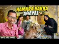 Alhamdulillah Hamara Bakra Agaya 🐐 | @sadimkhan03 @mariakhan.03 