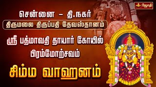 சென்னை தி.நகர் திருமலை திருப்பதி தேவஸ்தானம் ஸ்ரீ பத்மாவதி தாயார் கோயில் - சிம்ம வாஹனம்