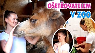 PRACUJI V ZOO JAKO OŠETŘOVATEL ZVÍŘAT 🐪 ● MESHA VLOG