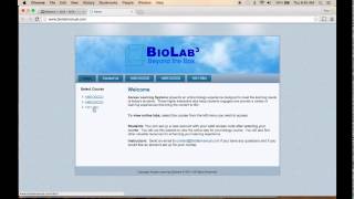Lab Orientation / Example Submission