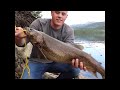 biggest trout of my life rainbow trout catch n cook