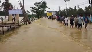 মৌলভী বাজার কদম হাটা মনু নদী ভেঙ্গে রাস্তার উপরে পানি।