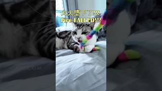 【FireCat火火貓】忘形的火火貓墮下了!!! Fire Fell!!!丨Funny Cat Videos