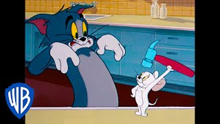Tom y Jerry en Latino | El peligroso ratón blanco | WB Kids