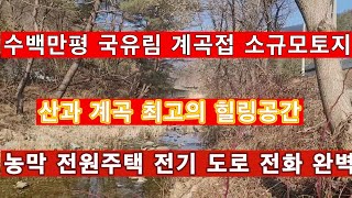 (매물4026)횡성부동산 수백만평 국유림과 계곡접한 건축가능한 소규모토지 귀촌 전원생활 농막 주말농장 등 최고의 힐링공간