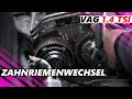 VW Golf 7 - Zahnriemenwechsel - Alle VAG CZD 1.4 TSI Motoren #tutorial #viral #youtubeshorts