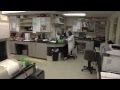 Clinical Lab Assistant at Edmonds Community College