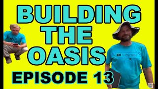 Building the Oasis, Part 13 | Wetland Filter and Pond Friends