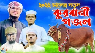 কোরবানির নতুন গজল | kurbani Notun Gojol | Eid Song, kalarab New Song 2022, Eid Song 2022, Eidul Azha