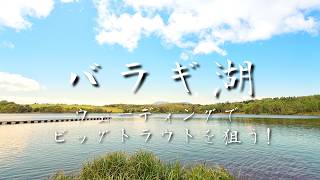 バラギ湖でビッグトラウトを狙う！ウェーディングでのフライフィッシング！Fly fishing for trout on Lake Baragi