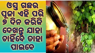 କେବଳ ୭ ଦିନ କରିକି ଦେଖନ୍ତୁ ଏହି ଉପାୟ ଯାହା ଚାହିଁବେ ତାହା ପାଇବେ