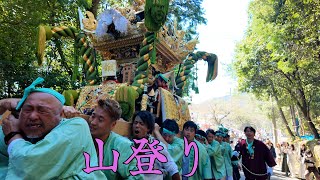 ★2024年甲八幡秋祭　本宮　山登り　鍛治内