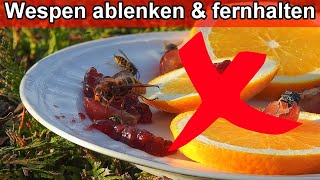 Wespen vertreiben und von Essen ablenken / Wespen von Tisch weglocken - Ablenkungsfütterung 🐝🐝🐝