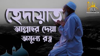 আল্লাহর দেয়া অমূল্য রত্ন || Hedayat