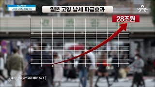 지역 특색을 살린 답례품으로 '고향 납세제'를 성공으로 이끈 일본 | 특별기획 그리운 고향 사랑을 잇다 1 회