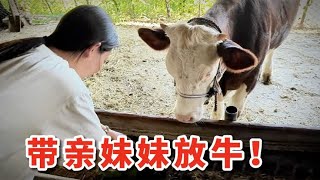 回村后带着亲妹妹放牛，没想到2万元买的小牛，能有这么犟？