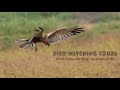 BIRD WATCHING TOURS | BEST BIRDING MOMENTS | EBRO DELTA AUTUMN '21