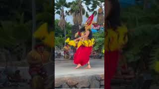 Polynesian Paradise Unleashing the Hula dacious Adventures!