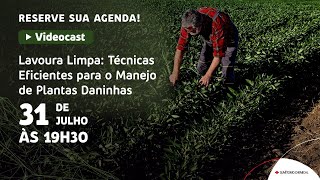 Lavoura Limpa: técnicas eficientes para o manejo de plantas daninhas