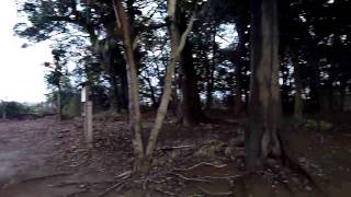 諏訪神社[長作町]＠千葉県(2010.12.14)＜パワスポ55555＞