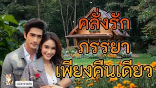 คลั่งรักภรรยาเพียงคืนเดียว | นิยายสั้นจบในตอน | Meow tells stories