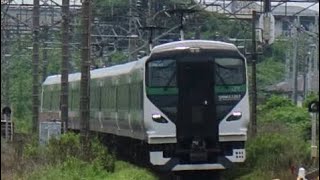 【横浜発日光行き集約臨（小学校修学旅行団臨）】E257系5000番台ｵｵOM-93編成が修学旅行幕で宇都宮〜雀宮駅間を通過するシーン（8583M）2023.7.9