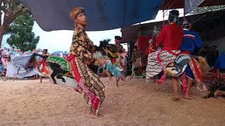 Ful janturan kesenian tradisional kuda Kepang Singo Budoyo live 🔴 Desa singamerta kecamatan Sigaluh