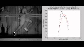 Elite Sprinter Force Data vs. Simple-Spring Model