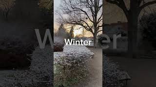 The climate in Denmark #summer #fall #winter #spring #danish #climate #denmark