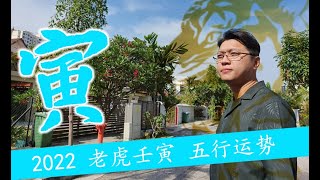 【2022 壬寅 老虎年  五行运势分析 {木}】1/5  - YES Feng Shui 易盛命理风水