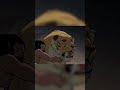 Primal Season 2 Episode 10 Little spear and his father vs Sabertooth Cats #shorts